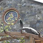#1 The Barn At Alensgrove *